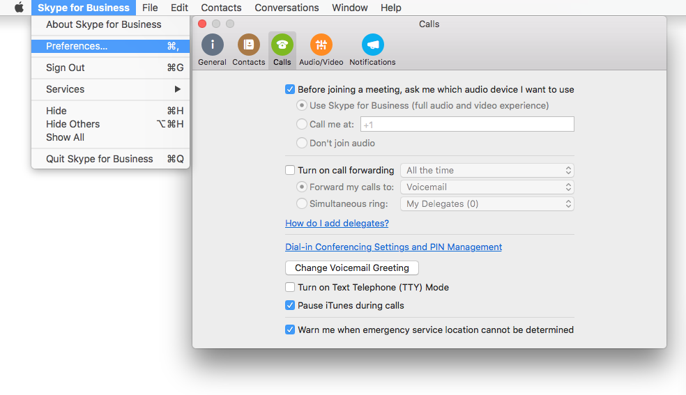 skype for mac features